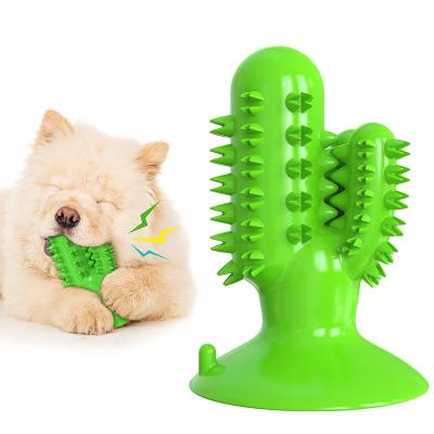 China AMPMOUTDOOR Toy Cactus Shape Tooth Cleaning Viable Dog Bite With Customized Service for sale