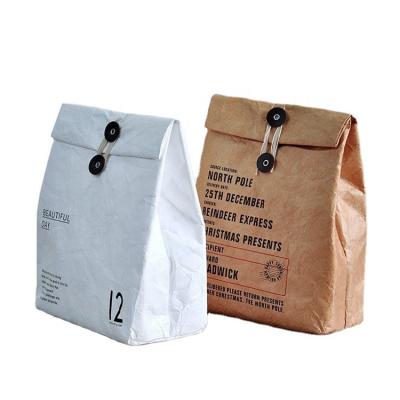 China Food Sell Well New Type Logo Custom Paper Kraft Paper Washable Waterproof Canvas Tyvek Cooler Insulated Bag Heat Insulation For Food for sale