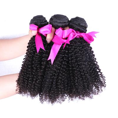 China Kinky Curly Brazilian Hair Bundles Overnight Shipping Kinky Curly Cuticle Aligned Hair Bundles for sale