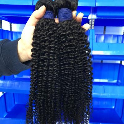 China 10a Double Drawn Raw Natural Indian Virgin Indian Kinky Curly Hair Bundles Mongolian Kinky Curly Hair Loose Wave Hair Bundles for sale