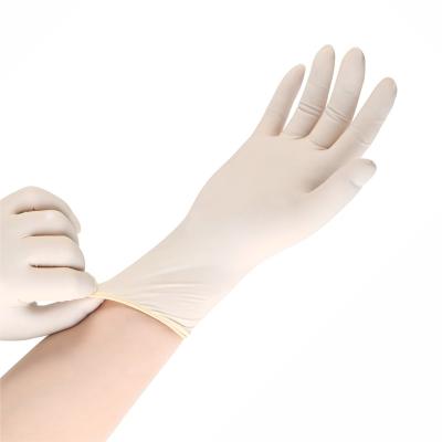 China Large Manufacturers Gymda Junda Water Proof Latex Examination Lab Disposable Gloves for sale