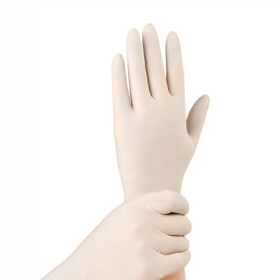 China Hot Selling Anti-slip Latex Disposable Powder Free Gloves Wholesale Waterproof Latex Gloves for sale