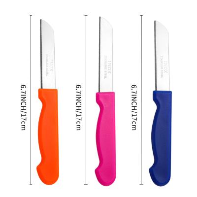 China Sustainable Multifunctional Stainless Steel Kitchen Household Fruit Peeling Knife With Plastic Handle for sale