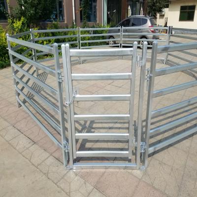 China Easily Assembled Galvanized Iron Pipe Fencing For Horses for sale