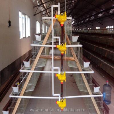 China Durable Use South Africa Hot Sale Layer Chicken Cage For Chicken Farm for sale