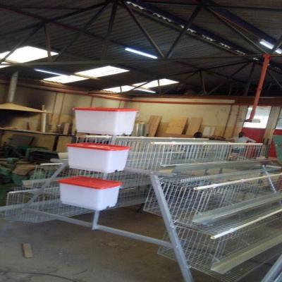 China Viable Battery Cages for Broilers from Chick To Adult Broilers for sale