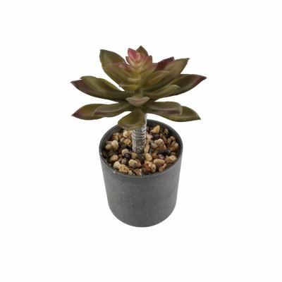 China Z2042 Minimalist Simulation of Guanyin Lotus Plant Bonsai Succulent Potted Plants with Pottery Clay Pot Green for sale