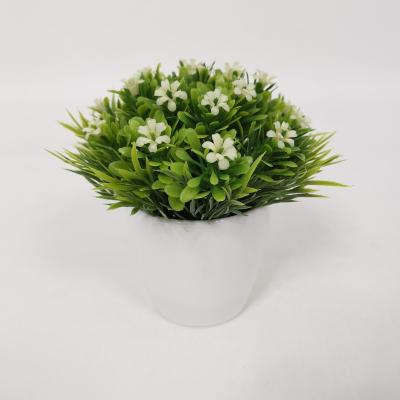 China AHE198 Decoration Simulation Mounted Indoor Decoration Artificial Mini Potted Plants For Decoration for sale