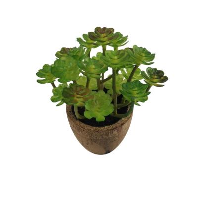 China AHE375-047 Minimalist Simulation Of Succulent Plant Bonsai Artificial Potted Plants For Decoration for sale