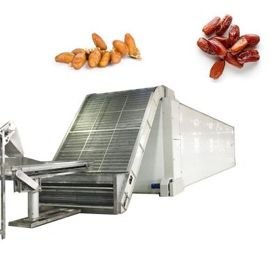 China Food Processing 35 T Palm Dates Drying Machine With Heat Pump For Industrial Date Washing Drying Grading Processing Machinery for sale