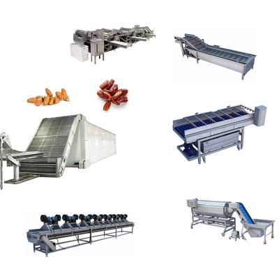 China Hours Palm Machinery Repair Shops 20 To 85 /24 Tons Dates Washing Drying Machine For Industrial Dates Washing Sorting Drying Production for sale