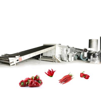 China Food Processing 30 tons stainless steel spice pepper chili dryer machine for commercial vegetable and fruit drying oven machine for sale