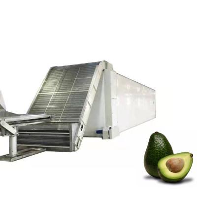 China Energy Saving Mesh Belt Avocado Drying Machine Continuous Dryer for Industrial Processing Dry Herb Fruits and Herb Vegetable Dehydrator for sale