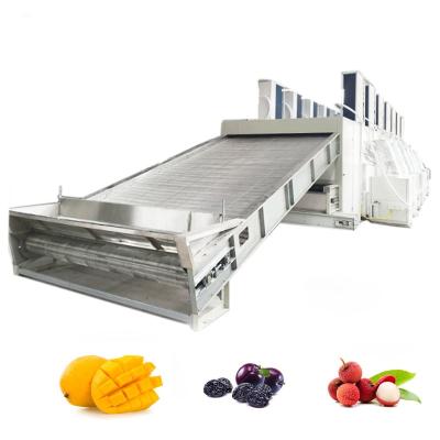 China Energy Saving Stainless Steel Mesh Belt Plum Lychee Mango Continuous Drying Machine For Fruit Dehydrator Industrial Dry Machine for sale