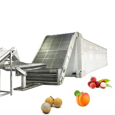 China Food Processing Stainless Steel Logan Lyche Apricot Kiwifruit Proofer with Heat Pump for Fruit Dehydrator Industrial Drying Equipment for sale