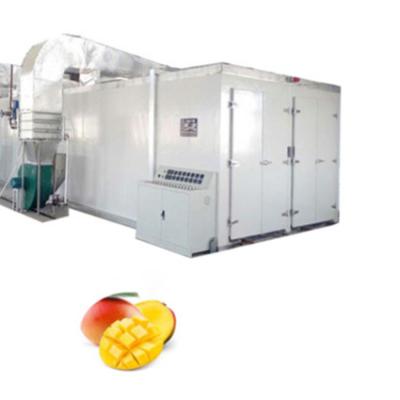 China Food Processing 96 Trays Mango Chips Or Leather Proofer With Dehumidifier For Industrial Dry Fruits Dehydration for sale