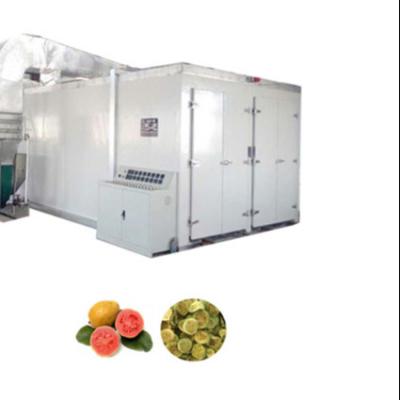 China Customized Silver Food Processing Stainless Steel Guava Tray Dryers Drying Machine For Industrial Processing Fruit Vegetable Dehydrator for sale