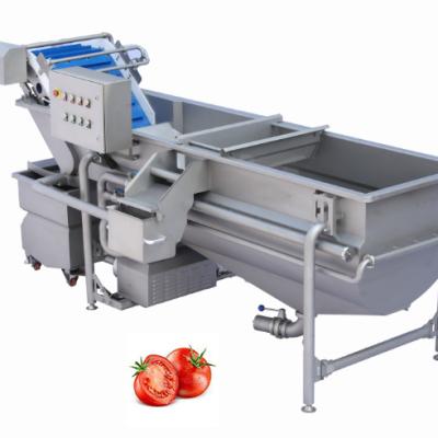 China 2021 Vegetable Snack Factory China Stainless Bubble Seal For Tomato Fruit Vegetable Seal Machine for sale