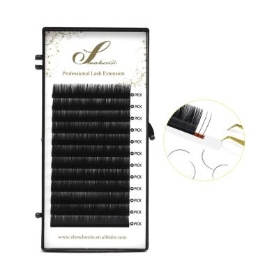 China Classic Silk Eyelashes Natural Looking Long Lash Volume Eyelash Extensions Natural Different Pbt Individual Korean Fiber Eyelash Extension for sale