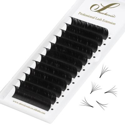 China natural soft & Easy Fanning Easy Graft Extension Trays One Second Blooming Lashes Fan Eyelashes Light Weight Eyelashes for sale