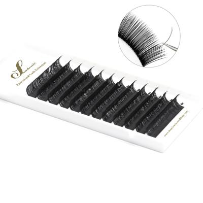 China Light Private Label Flat Ellipse Lash Extensions Flat Ellipse Lash Matte Faux Mink Eyelash Extension for sale