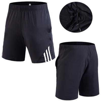 China Breathable Mens Summer Running Shorts Workout Bodybuilding Sporty Men Casual Shorts for sale