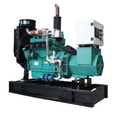 China 24 hours keep working good quality 30kw 40kw natural gas generator set PLG-30GF for sale