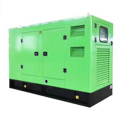 China Animal Farm 40kw 50kva Natural Gas Generator with Cummins Engine for sale