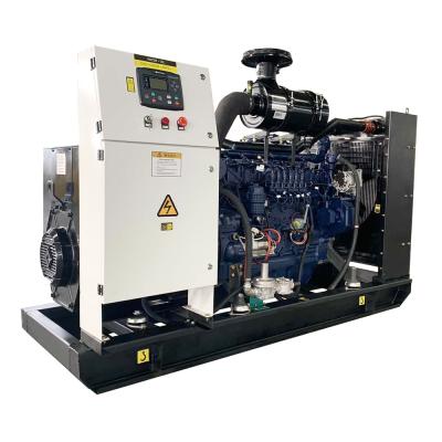 China OEM Manufacturer PLG-80GF Biogas Generator Set for sale