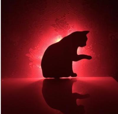 China Cute Warm Cat Shadow Projection Bedroom Decorative Novelty LED Wall Lamp Night Dresser Light Sensor Or Controller Gifts Multicolor for sale