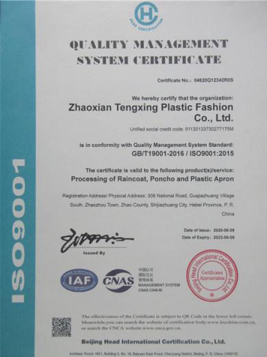 ISO9001 - Zhaoxian Tengxing Plastic Fashion Co., Ltd.