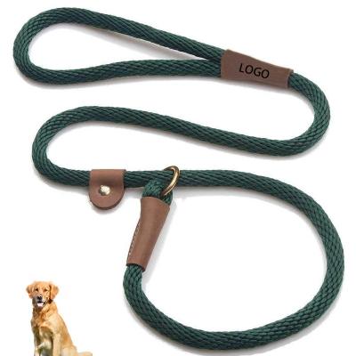 China 2021 Hot Sale Amazon Logo High Quality Pet Dog Detached Custom Dog Leash Rope Dog Lead Combined Dog Slip Soft Slip for sale