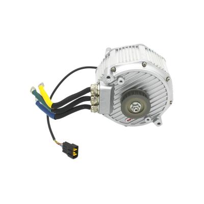 China Mid Sliver 13KW 72V BLDC Stand Motor High Power DC Brushless Motor For Electric Ebike for sale