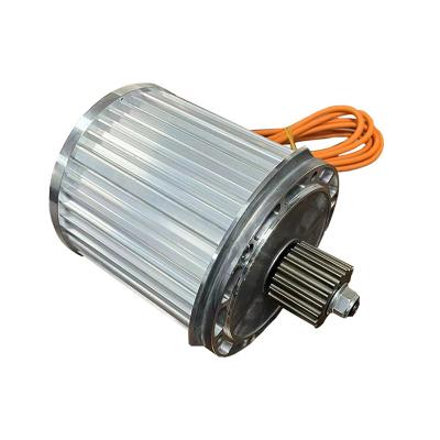 China Silver Ribbon 1000W 15 N.m Mid Drive Motor For Electric Bike Conversion Kit for sale