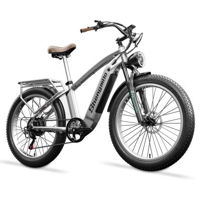 China Aluminum Alloy Hidden Fat E-Bike 26