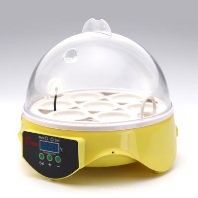 China Easy Operate Intelligent Automatic Mini Egg Incubator 7 Egg Incubators Hatching Egg Machine for sale