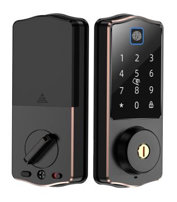 China 2012 high quality full automatic intelligent biometric lock fingerprint door lock for sale