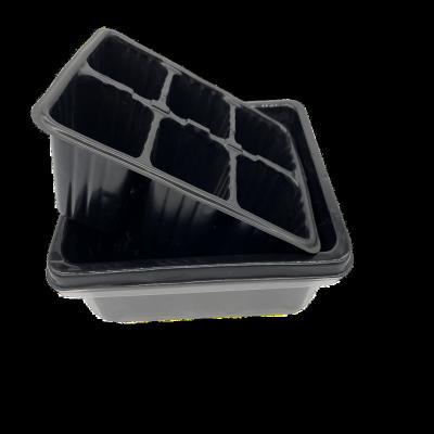 China Eco-friendly Plastic Seed Planting Plant Propagator 10 Cell Seed Kit Seedling Starter Germination Tray with Clear Lid for sale