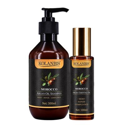 China High Quality Color-protecting Hair Softness 300ml Maroc Argan Oil Repair Shampoo And Argan Essential Oil Set Gives for sale