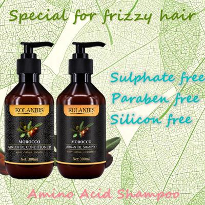 China Wholesale Private Label Nourishing Argan Oil Hair Care Shampoo and Conditioner Set Nourishing Hair Products for sale