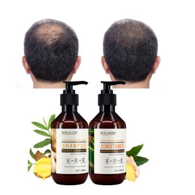 China Loss Prevention Private Label Anti-Itchy Hair Growth Ginger Shampoo And Conditioner Set Professional Hair Care for sale