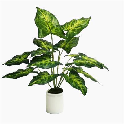 China Wholesale High Quality Lifelike Artificial Plants / Long Life House Plant For Garden for sale