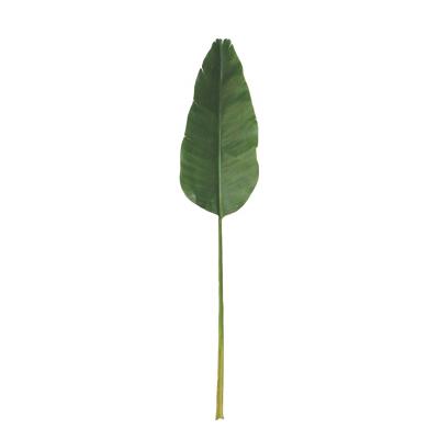 China Wholesale High Quality Lifelike/Long Lasting Artificial Taro Leaves Banana Plant Leaves Big Size For Tall Tree For Garden Decoration for sale