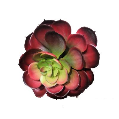 China Wholesale High Quality Realistic/Long Lasting Artificial Succulent Plants Flower DIY Layout Cactus Plant For Home Decoration for sale