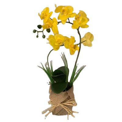 China Realistic/Long Lasting 3D Potted Artificial Orchid Flowers Printing Real Touch With Grass And Leaves for sale