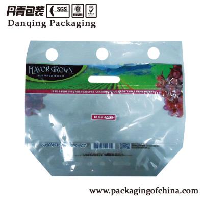 China Bopp Laminated Fruit Packaging Bags , Printed Fruit Vent Bag With Zipper for sale