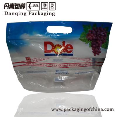 China Sacos de empacotamento do fruto Ziplock vívido do produto comestível da impressão, prova do escape, ISO aprovado à venda