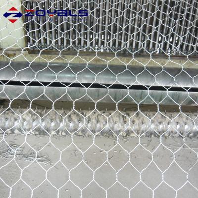 China Plain Weave High Grade Hexagonal Stainless Steel Wire Netting for sale