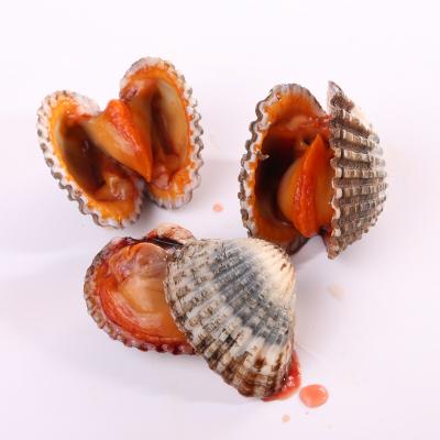 China Live High Nutritional Processing China Frozen Commercial Frozen Seafood Packaging for sale