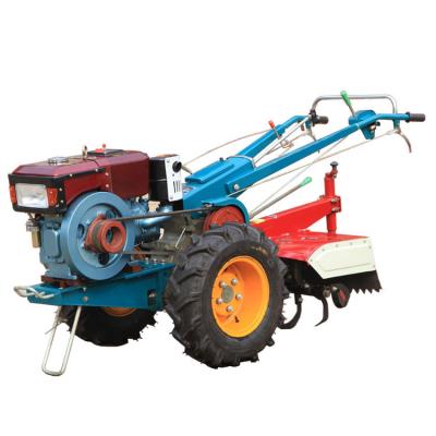 China QLN-181 Two Wheel Tractor Mini 18 HP Tractor Agricultural Machinery Brand Ariculture Chalion Mini Tractor Farming South Africa for sale